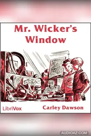 Mr. Wicker's Window