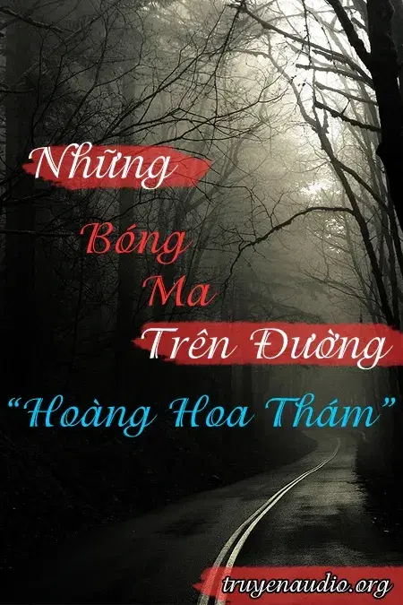 Những Bóng Ma Trên Đường Hoàng Hoa Thám - Trọn Bộ Audio
