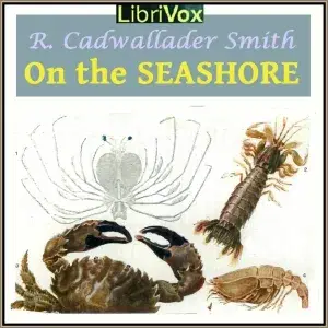 On The Seashore