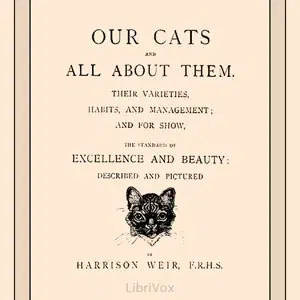 Our Cats and All About Them