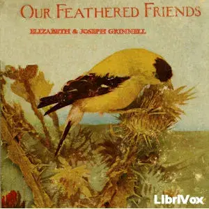Our Feathered Friends