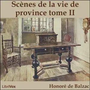 Comédie Humaine: 06 - Scènes de la vie de province tome 2 (25-6-42)