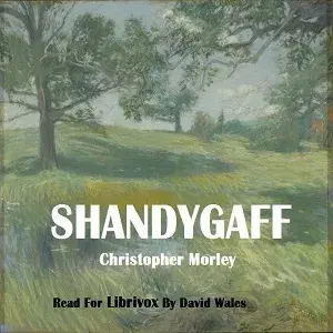 Shandygaff