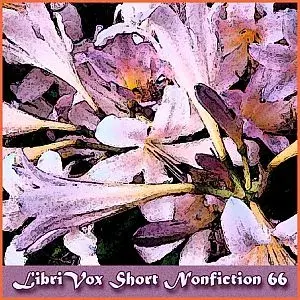 Short Nonfiction Collection, Vol. 066