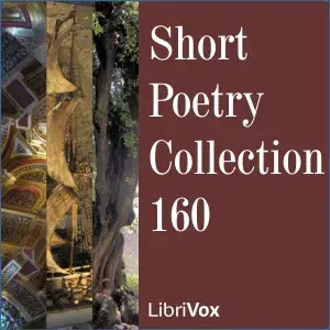 Short Poetry Collection 160