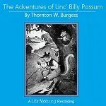 The Adventures of Unc' Billy Possum