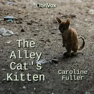 The Alley Cat’s Kitten