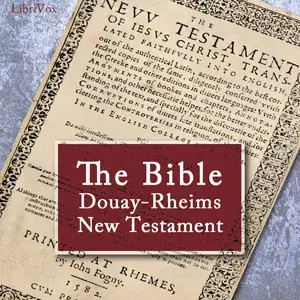 The Bible (DRV) New Testament