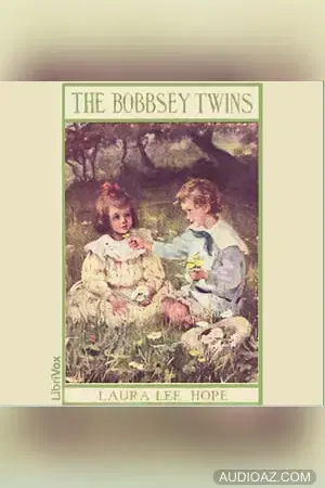 The Bobbsey Twins or Merry Days Indoors and Out