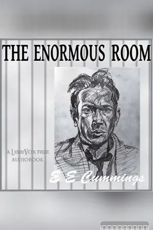 The Enormous Room