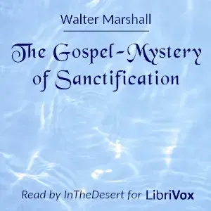 The Gospel-Mystery of Sanctification