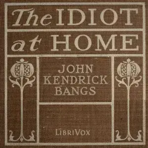 The Idiot at home