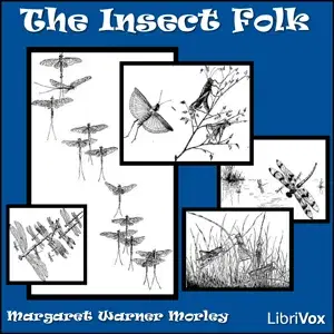 The Insect Folk