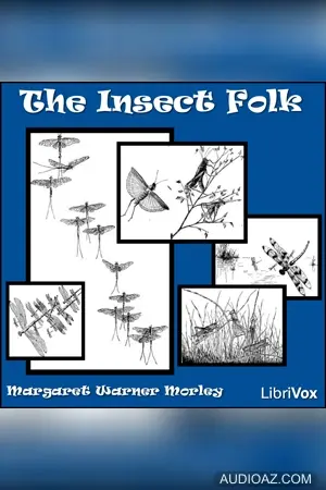 The Insect Folk