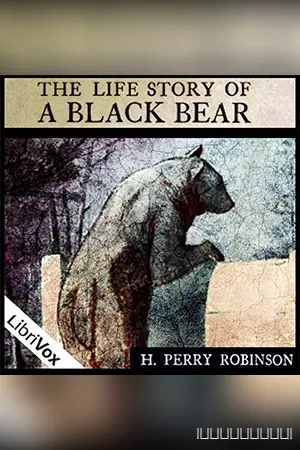 The Life Story of a Black Bear