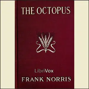 The Octopus