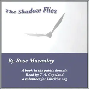 The Shadow Flies
