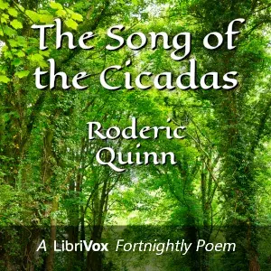 The Song of the Cicadas