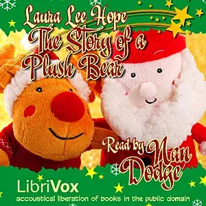 The Story of a Plush Bear
