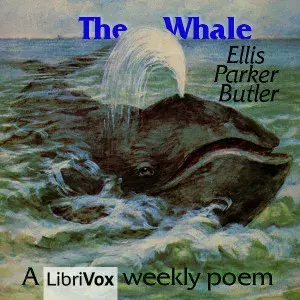 The Whale