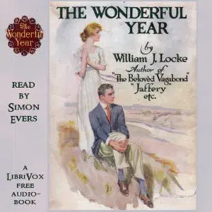 The Wonderful Year