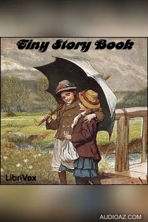 Tiny Story Book
