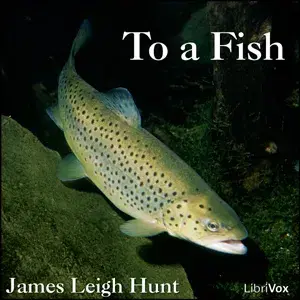 To a Fish