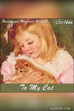 To My Cat