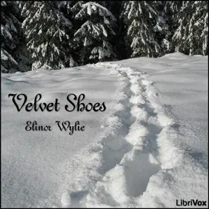 Velvet Shoes