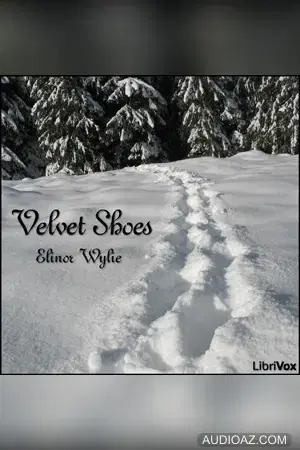 Velvet Shoes