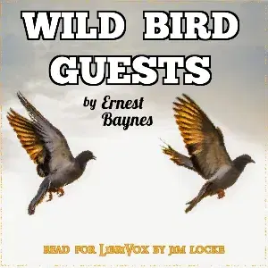 Wild Bird Guests