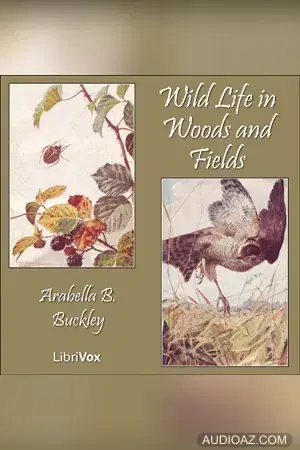 Wild Life in Woods and Fields