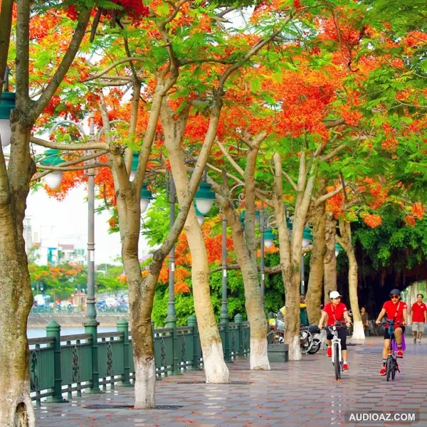 Tất tần tật Hải Phòng: Điểm đến "cực ngon" của những tín đồ mê xê dịch | dophat2403