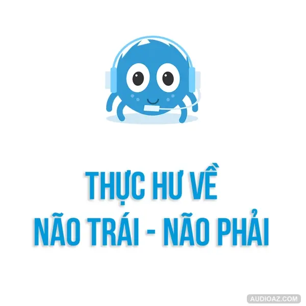 Kĩ năng tư duy | Thực hư về NÃO TRÁI - NÃO PHẢI | SPIDERUM | TRADA TECH