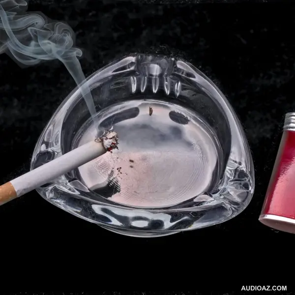 Nicotine tác động đến cơ thể như thế nào? | Oranggee | Khoa học