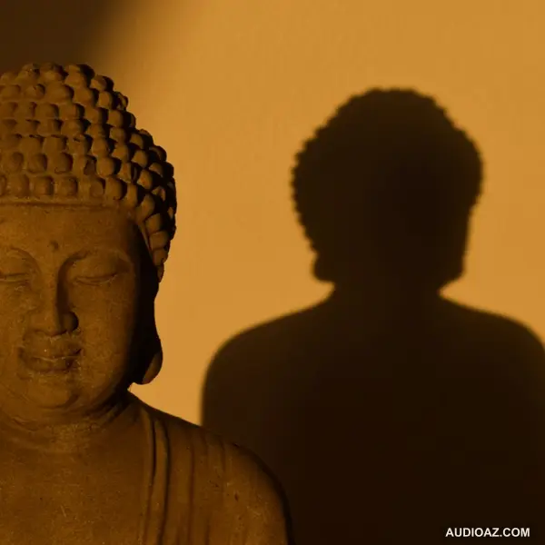 BÀI TOÁN ĐẠO ĐỨC RẤT KHÓ: Phật giáo sẽ làm gì khi buộc phải thí mạng? | Trường Sở | Quan điểm