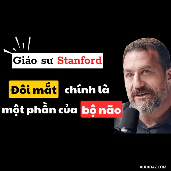 51. Sức Mạnh Đáng Kinh Ngạc Ẩn Giấu Trong Đôi Mắt - Andrew Huberman | Inner World Podcast