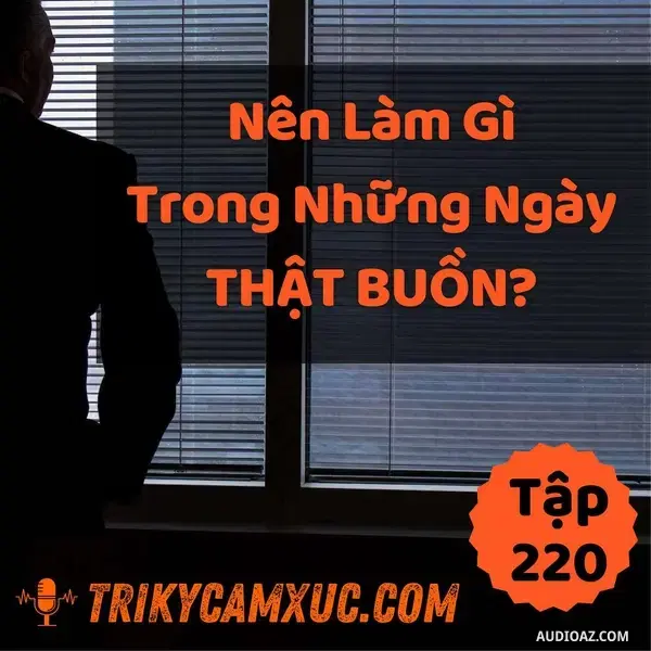 Ep219: Nên Làm Gì Trong Những Ngày Thật Buồn? - Tri kỷ cảm xúc #220